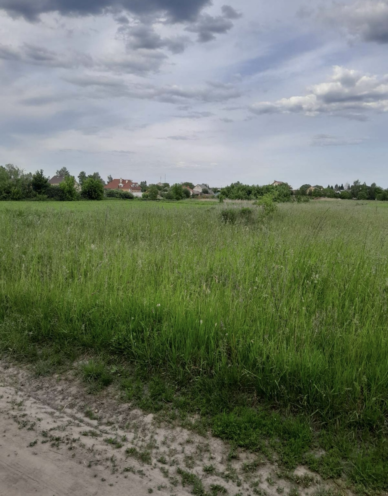 Купить Ділянка 36 сот. Сінгури