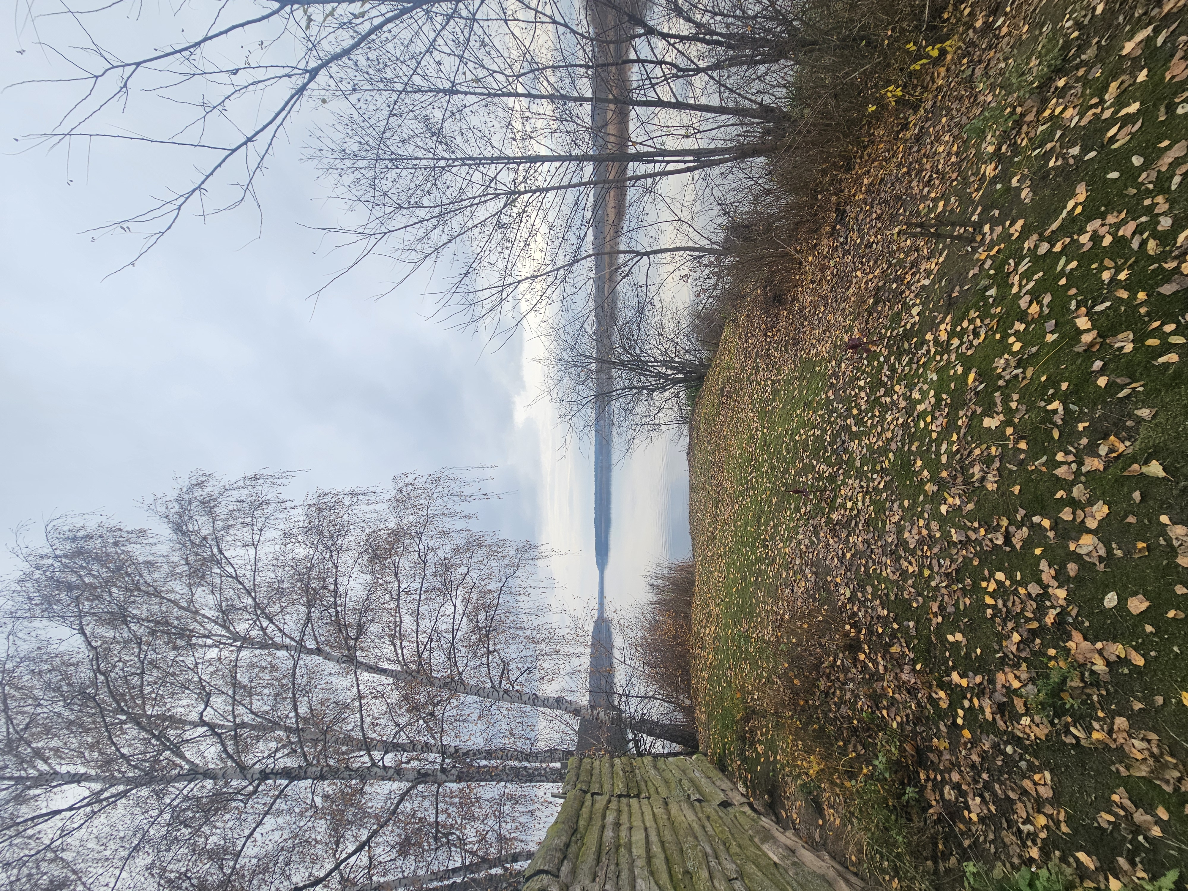 Купить Ділянка 6 сот. Тетерівка