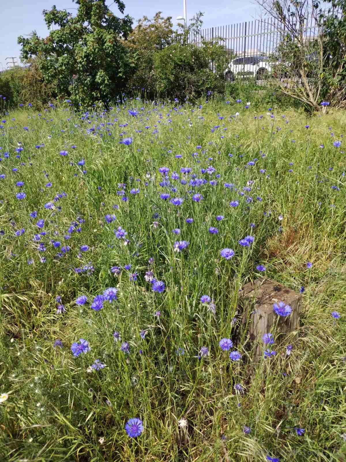 Фото 9
