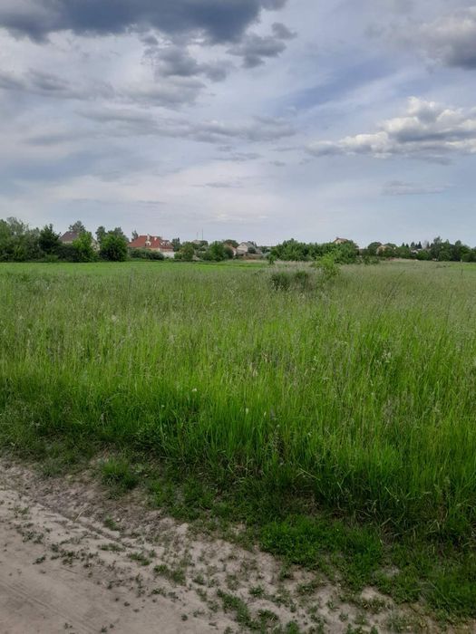 Продам земельну ділянку, Сінгури