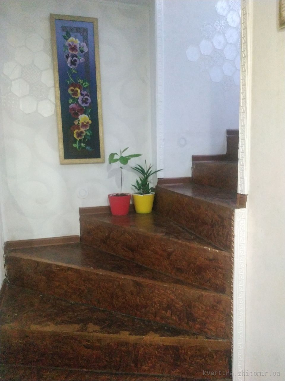 Фото 3