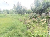 thumb_12721_img20240615131721.jpg