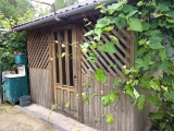 thumb_12721_img20240615132003.jpg
