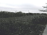 thumb_13189_img1466.jpg