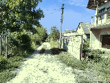 thumb_13224_img6616.jpeg