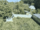 thumb_13224_img6632.jpeg