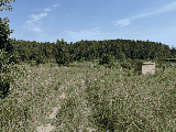 thumb_13273_img7174.jpg