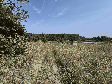 thumb_13273_img7176.jpg