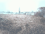 thumb_13300_img20250122152138.jpg