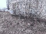 thumb_13300_img20250122153216.jpg