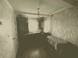 thumb_13307_img7659.jpeg