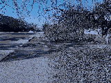 thumb_13315_img7821.jpeg