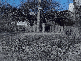 thumb_13315_img7824.jpeg