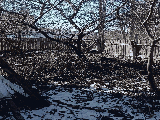 thumb_13315_img7828.jpeg
