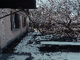 thumb_13315_img7832.jpeg