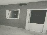 thumb_13318_img7901.jpeg