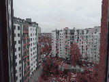 thumb_13318_img7910.jpeg