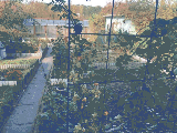 thumb_13335_1000003777.jpg