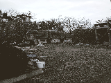 thumb_13393_030fef3d2f824189a0080a113b09699d.jpg