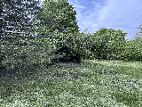 thumb_13393_2025051517.34.33.jpg