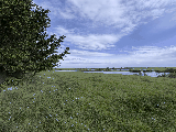 thumb_13393_2025051517.34.54.jpg