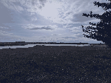 thumb_13393_2025051517.35.00.jpg
