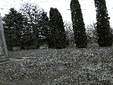 thumb_13393_88cbdcf9490d45839b1e633230918dde.jpg