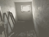 thumb_13468_1000004667.jpg
