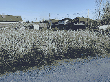 thumb_13474_img7271.jpg