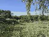 thumb_13477_img7298.jpg