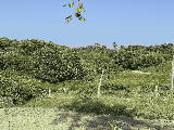 thumb_13477_img7299.jpg