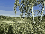 thumb_13477_img7301.jpg