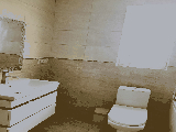 thumb_13512_img9432.jpeg