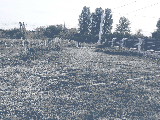 thumb_13512_img9439.jpeg
