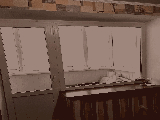 thumb_13516_img9546.jpeg