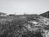 thumb_13535_img0083.jpeg