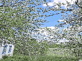 thumb_13539_img0196.jpeg