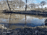 thumb_13542_1000014968.jpg