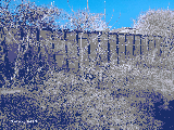 thumb_13542_1000014970.jpg