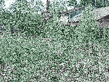 thumb_13550_img20250504135302.jpg
