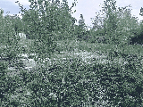 thumb_13550_img20250504135503.jpg