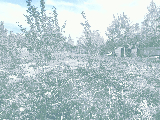 thumb_13550_img20250504135510.jpg