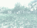 thumb_13550_img20250504135842.jpg