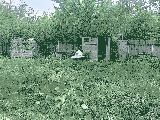 thumb_13550_img20250504135848.jpg