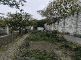 thumb_13560_1000005765.jpg