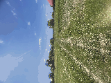 thumb_13563_img1862.jpeg