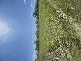 thumb_13563_img1863.jpeg