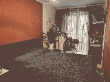 thumb_13566_1000036323.jpg