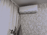 thumb_13572_img9777.jpg