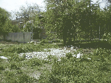 thumb_13576_img9797.jpg